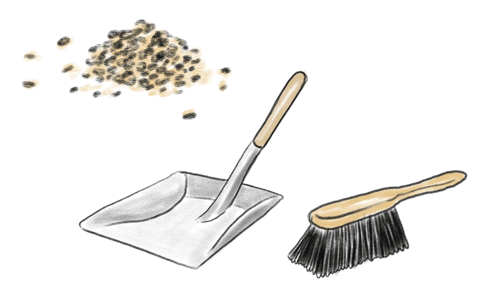 Shovel and hand brush